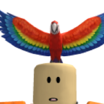 Birb Studio
