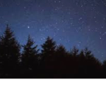 Night Whisperers