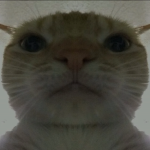 pablo