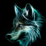 Neon foxes!
