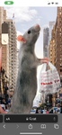 RAT BFF GROUP