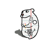 Paper Chomik