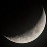 Moon Co.