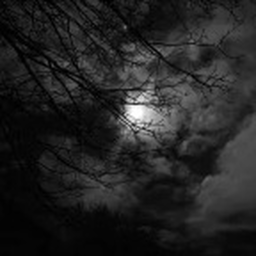 ♱