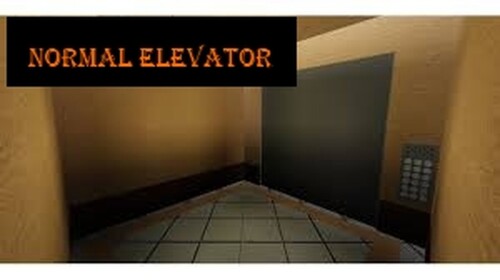 Normal elevator