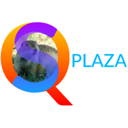SQ Plaza
