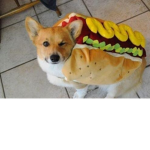corgi fan group