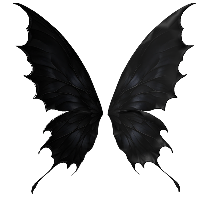 Black butterfly wings