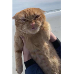 무개념 학살단