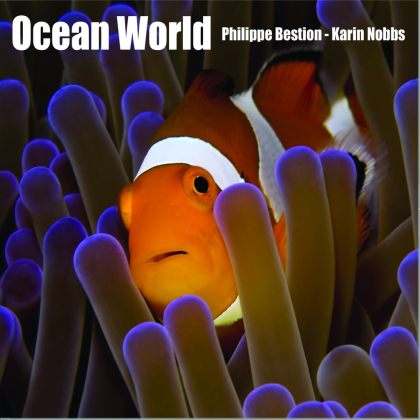 Ocean World Roblox music