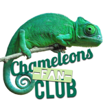 Chameleons Fan Club