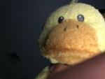 DUCKboyz