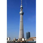 tower racers