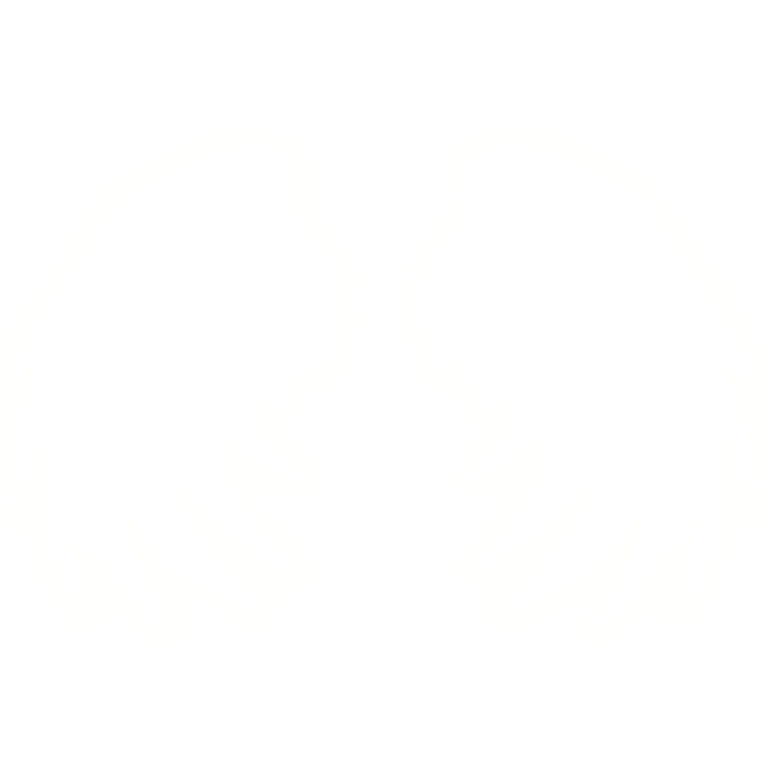 Emissive Viligant Angel Wings