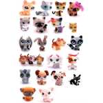 My little Pet Shop Lovers