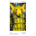 Nodmeol