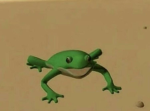 ~The Asthetic Frogs~