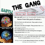 The #1 Gang