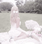 sweet clover