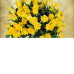 ~ Yellow boutique ~