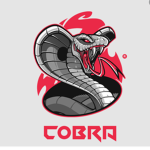 !The Cobras!