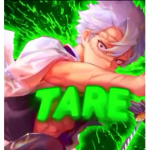 Tarik Fans