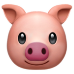 The Piggs