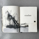 exudate
