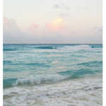 Ocean Blue Army