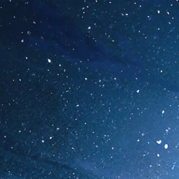 ✧