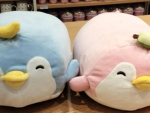 || my little penguins ||