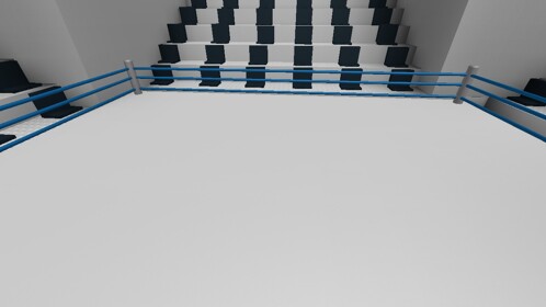 Boxing Competition