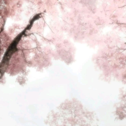 ────