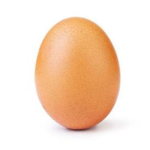 THE EGGYS GRUOP
