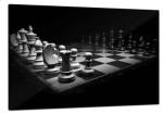 spyder_bropoland