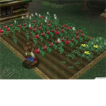 Harvest Moon AnWL and/or Harvest Moon AWL