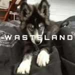 -wasteland