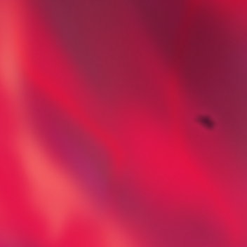 『 What