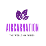AirCarnation
