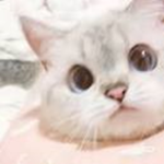 {Just_vibe}