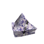 10 Polymer Money Hat