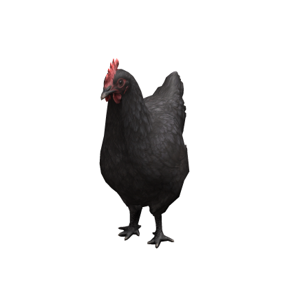 Black Chicken Suit