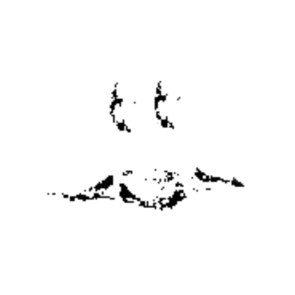 White Pixelated Scary Face Roblox decal