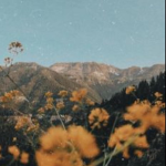 aesthetic_vibes + coco cafe
