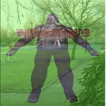 5 pixStars