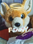 Fan Club of King Fenny