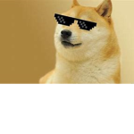 Doges Are Amazing