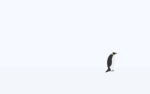 Become Penguin
