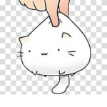 The Cat Gamer Fans