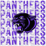 Purple panthers cheer